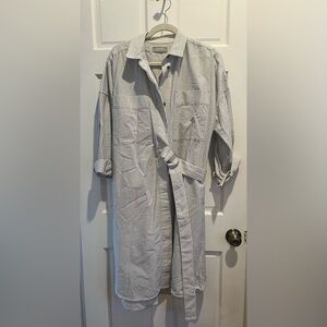 Everlane The Oxford Shirt Dress, Gray and White Striped Organic Cotton